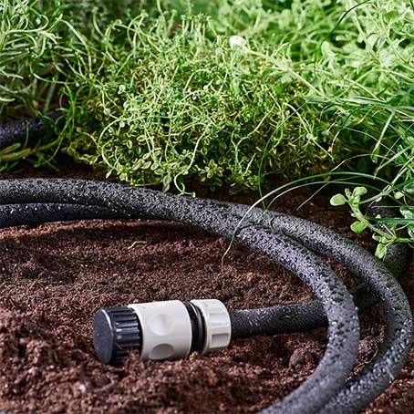 Bli en bra trädgårdsvattnare – 6 tips för vattning i trädgården