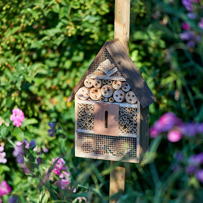 Skapa en trädgård för bin och gynna din egen skörd