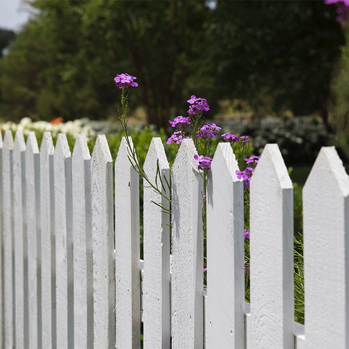 Build Your Own Fence
