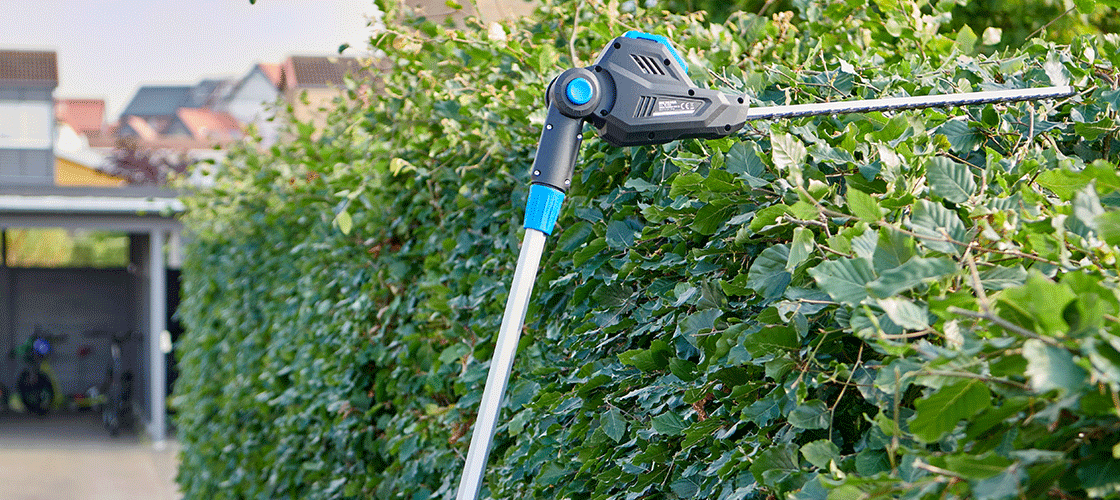Electric hedge trimmer being used to trim a dense green hedge.